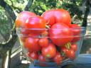 Simplest Tomato Sauce with Roasted Onion, Shallots and Garlic 