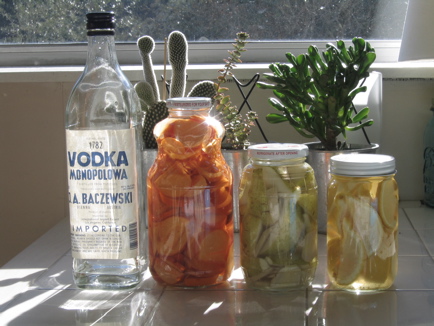 Infused Vodkas