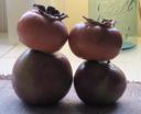 Persimmon Applesauce