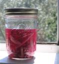 Quick Purple Kohlrabi Pickles