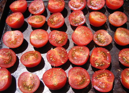 Tomatoes before Roasting