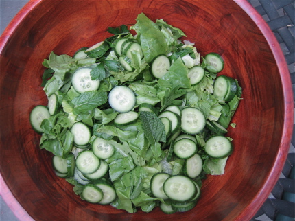 Mint and Parsley Salad with Persian Cucumbers