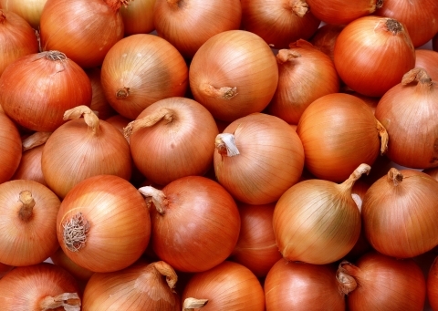 fresh_onions.jpg