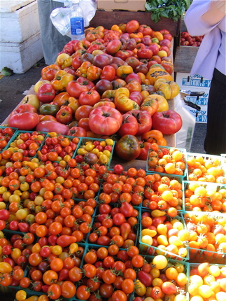 Tomatoes at the San Carlos Farmer’s Market