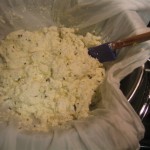 Fresh Buttermilk Cheese with Lemon and Thyme
