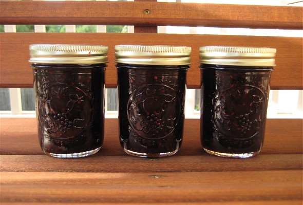 Homemade Wild Blackberry Jam